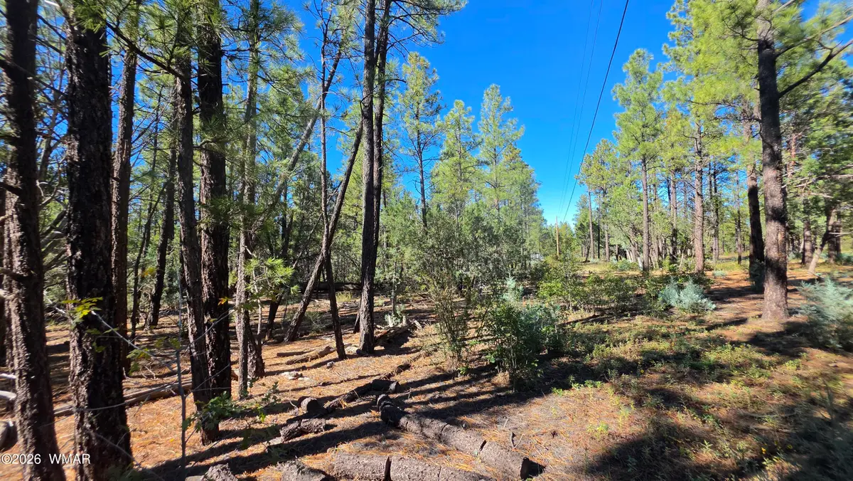 TBD N Blue Grass Ranch Drive, Lakeside, AZ 85929 - #1