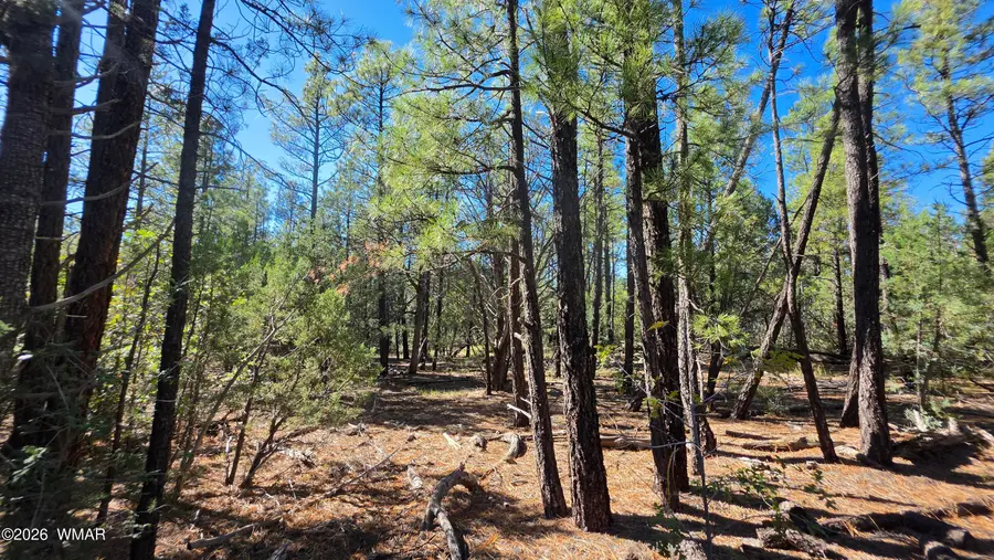 TBD N Blue Grass Ranch Drive, Lakeside, AZ 85929 - #2