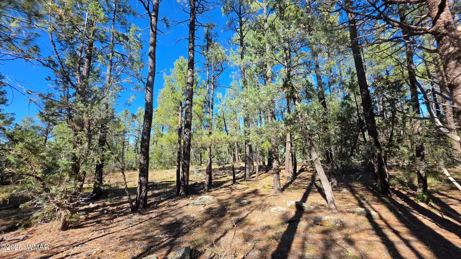 TBD N Blue Grass Ranch Drive, Lakeside, AZ 85929 - #3