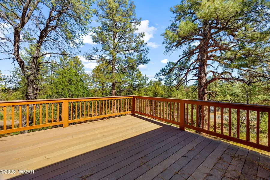 2958 Constellation Lane, Overgaard, AZ 85933 - #3