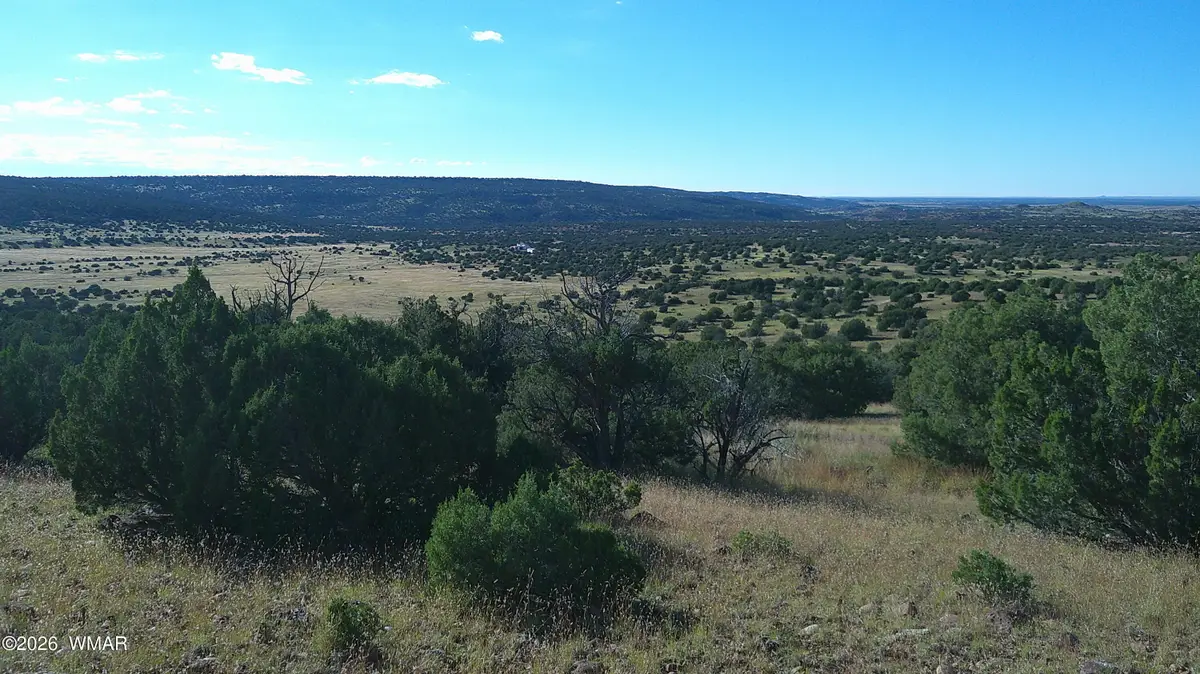 TBD Lakeview Ranch, Concho, AZ 85924 - #1