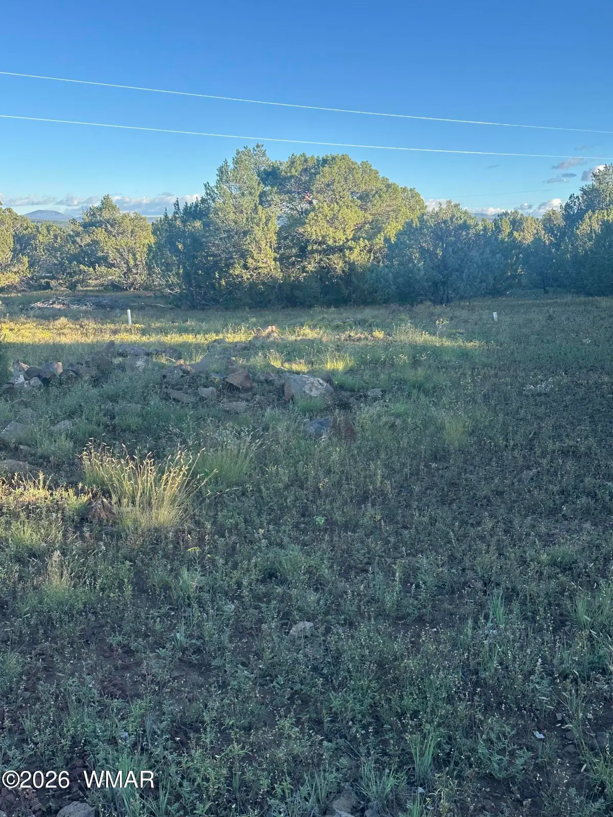 35589 Us 60, Vernon, AZ 85940 - #1