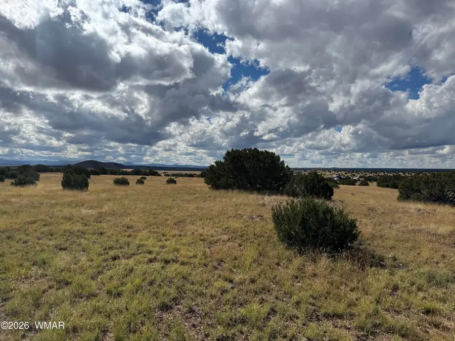 146 Hickory Lane, Concho, AZ 85924 - #3