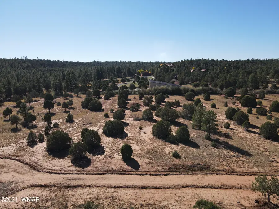 TBD Iron Spur Trail, Show Low, AZ 85901 - #2