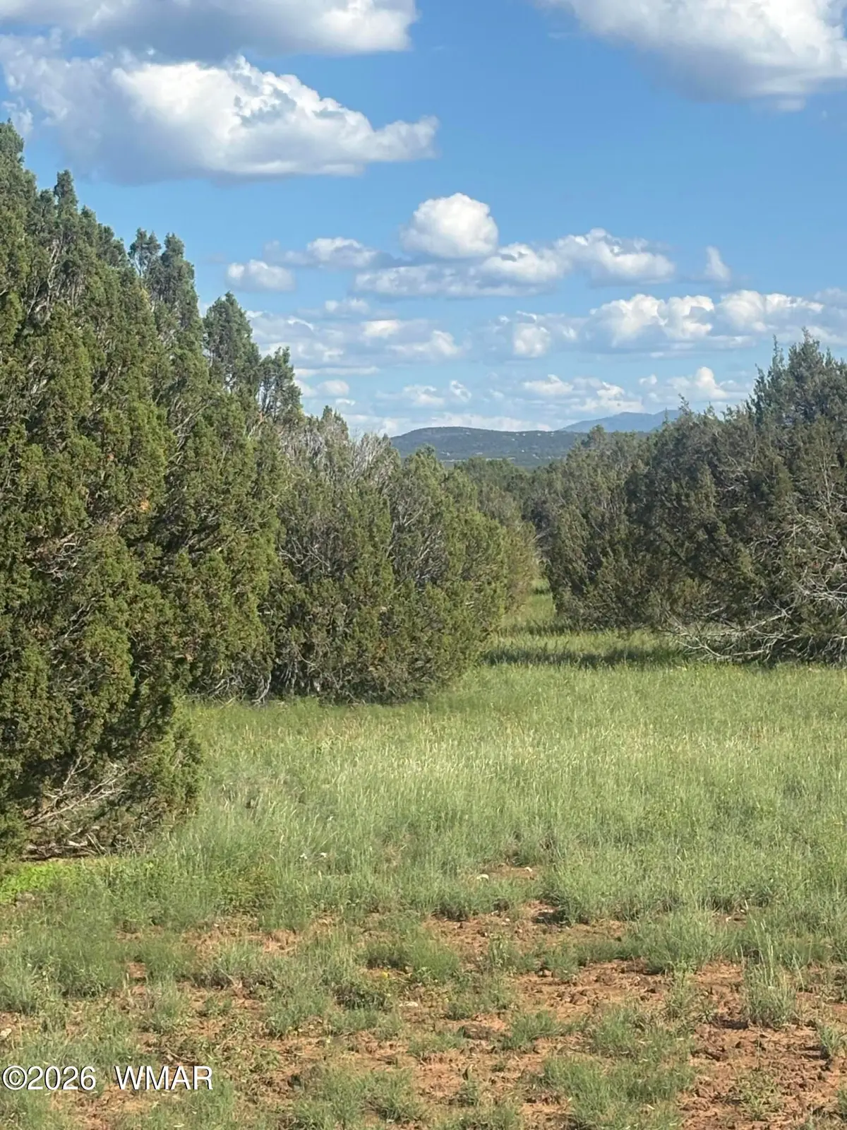 TBD N 8388, Concho, AZ 85924 - #1