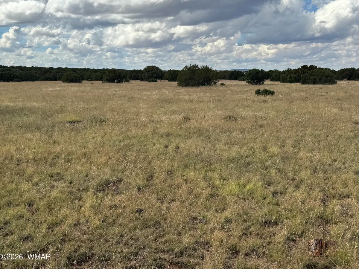 333 Maple Lane, Concho, AZ 85924 - #1