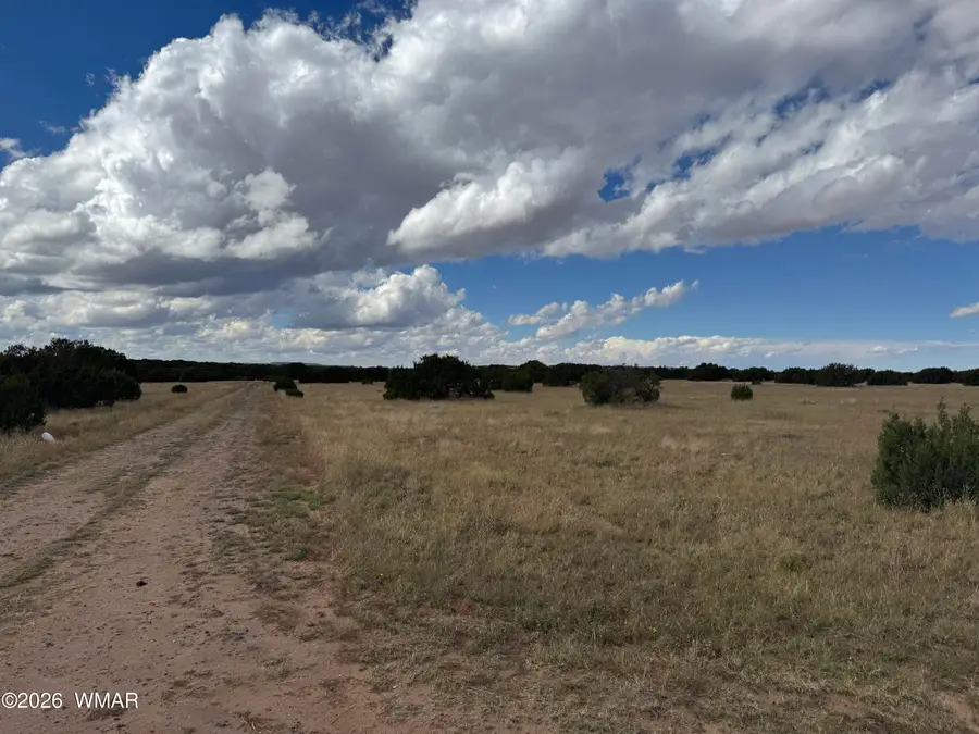 333 Maple Lane, Concho, AZ 85924 - #2