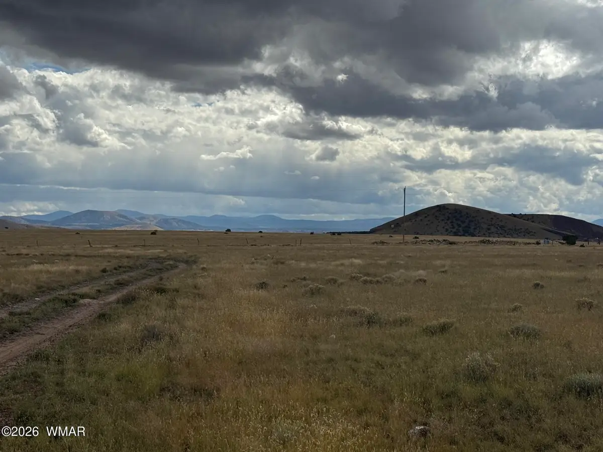 255 Willow Lane, Concho, AZ 85924 - #1