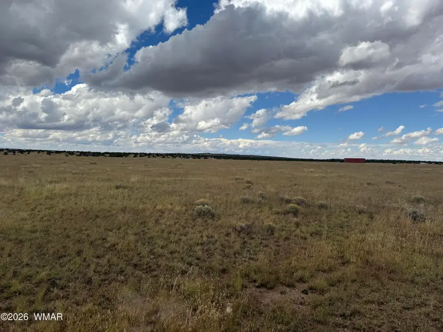 255 Willow Lane, Concho, AZ 85924 - #2