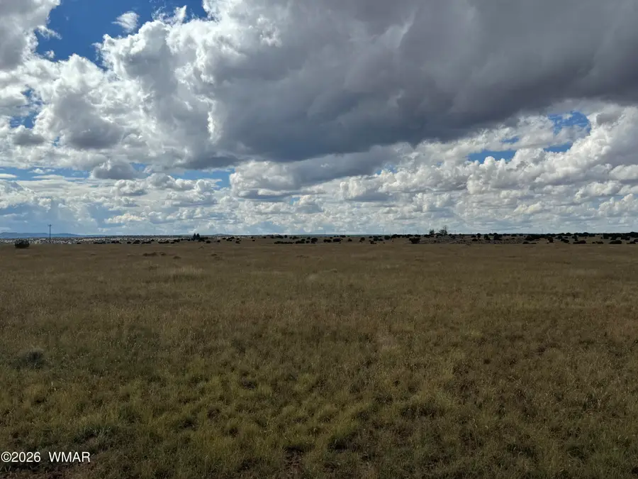255 Willow Lane, Concho, AZ 85924 - #3