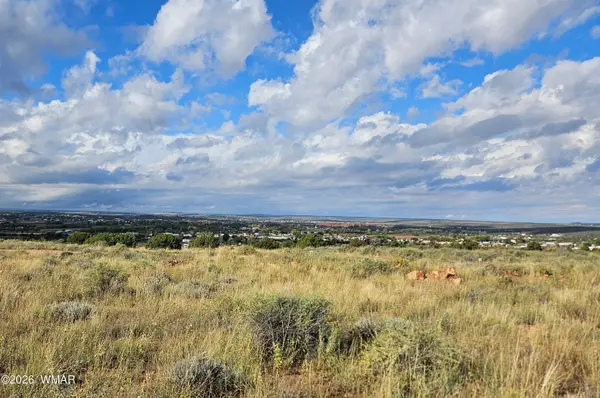 417 N Hillside Drive, Snowflake, AZ 85937