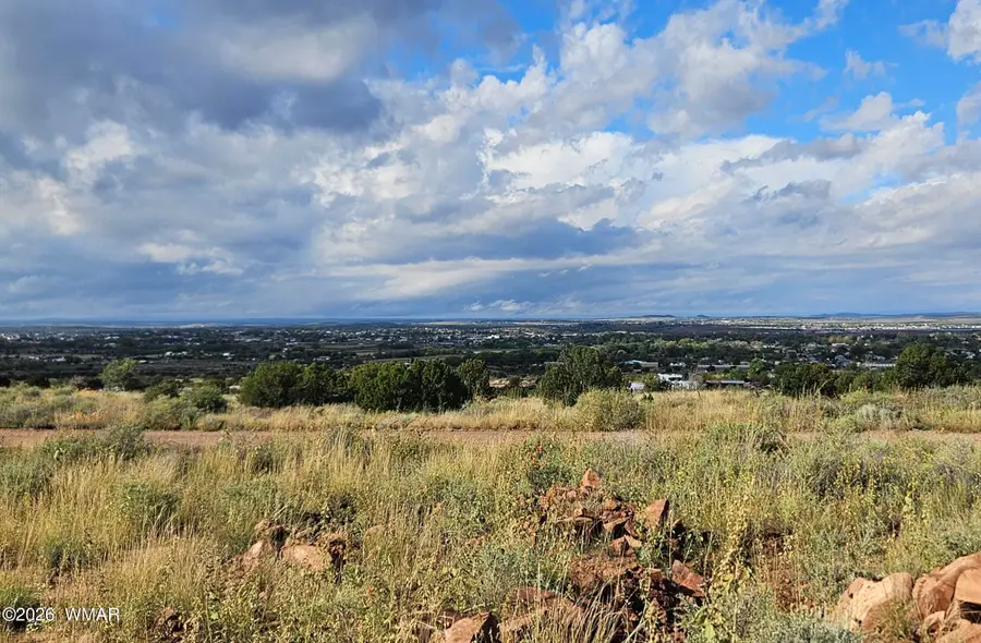 417 N Hillside Drive, Snowflake, AZ 85937 - #2