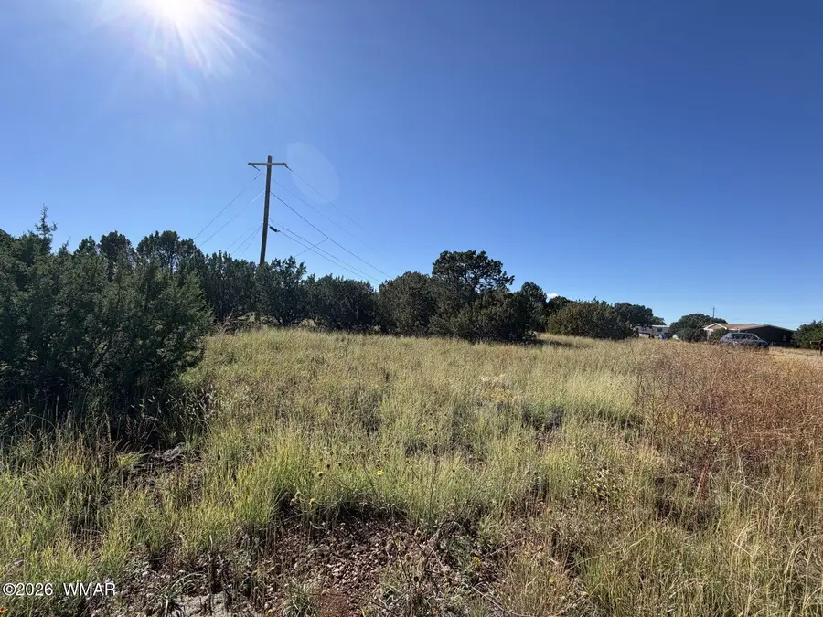 8701 Campbell Circle, Show Low, AZ 85901 - #2