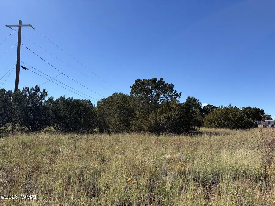 8701 Campbell Circle, Show Low, AZ 85901 - #3
