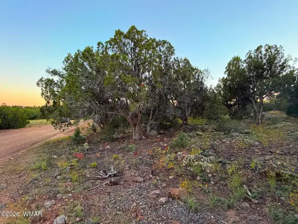 8332 Skyline Drive, Show Low, AZ 85901