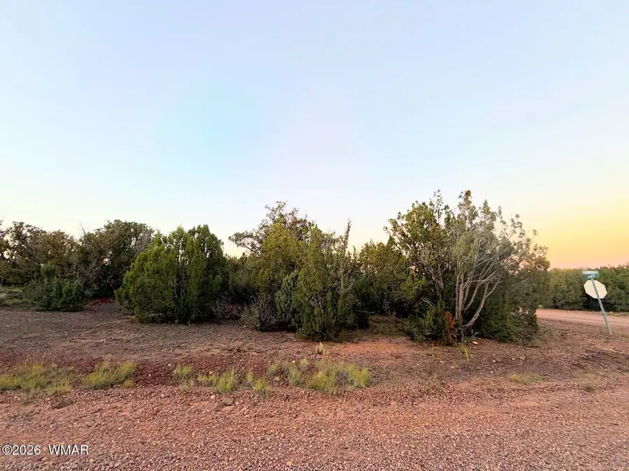 8332 Skyline Drive, Show Low, AZ 85901 - #2