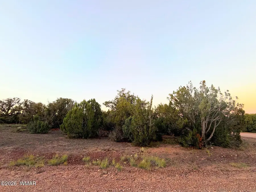 8332 Skyline Drive, Show Low, AZ 85901 - #3