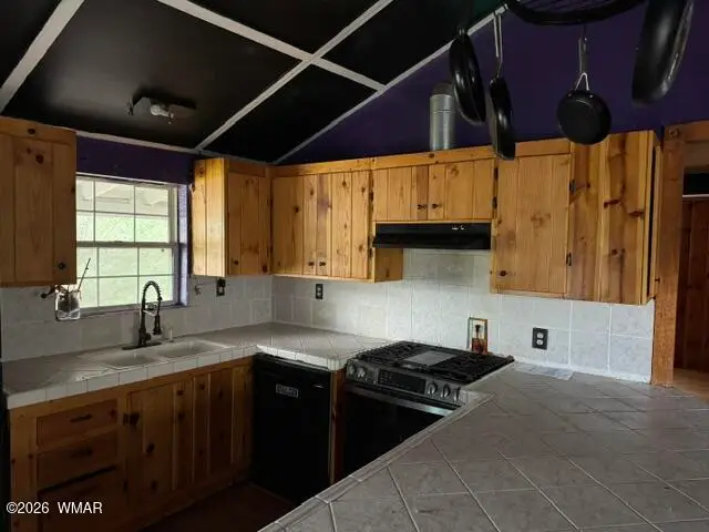 1326 W Apache Lane, Lakeside, AZ 85929 - #3