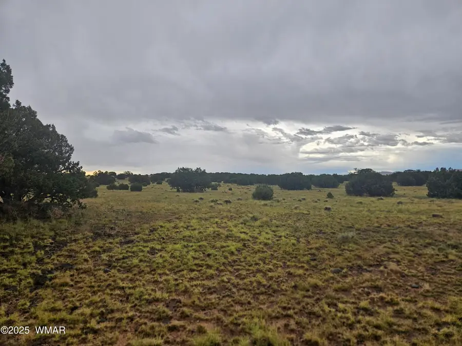 56 County Road 5073, Concho, AZ 85924 - #3