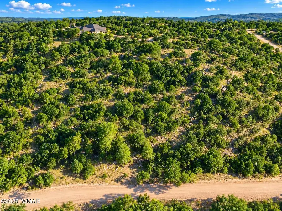 1904 Green Valley Road, Heber, AZ 85928 - #2