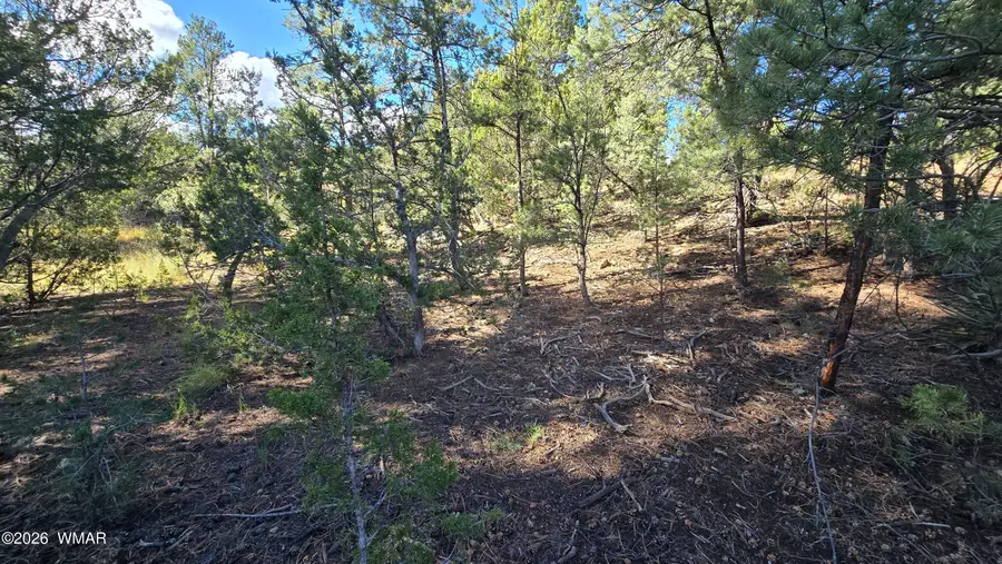 1545 Rocky Top Drive, Heber, AZ 85928 - #2