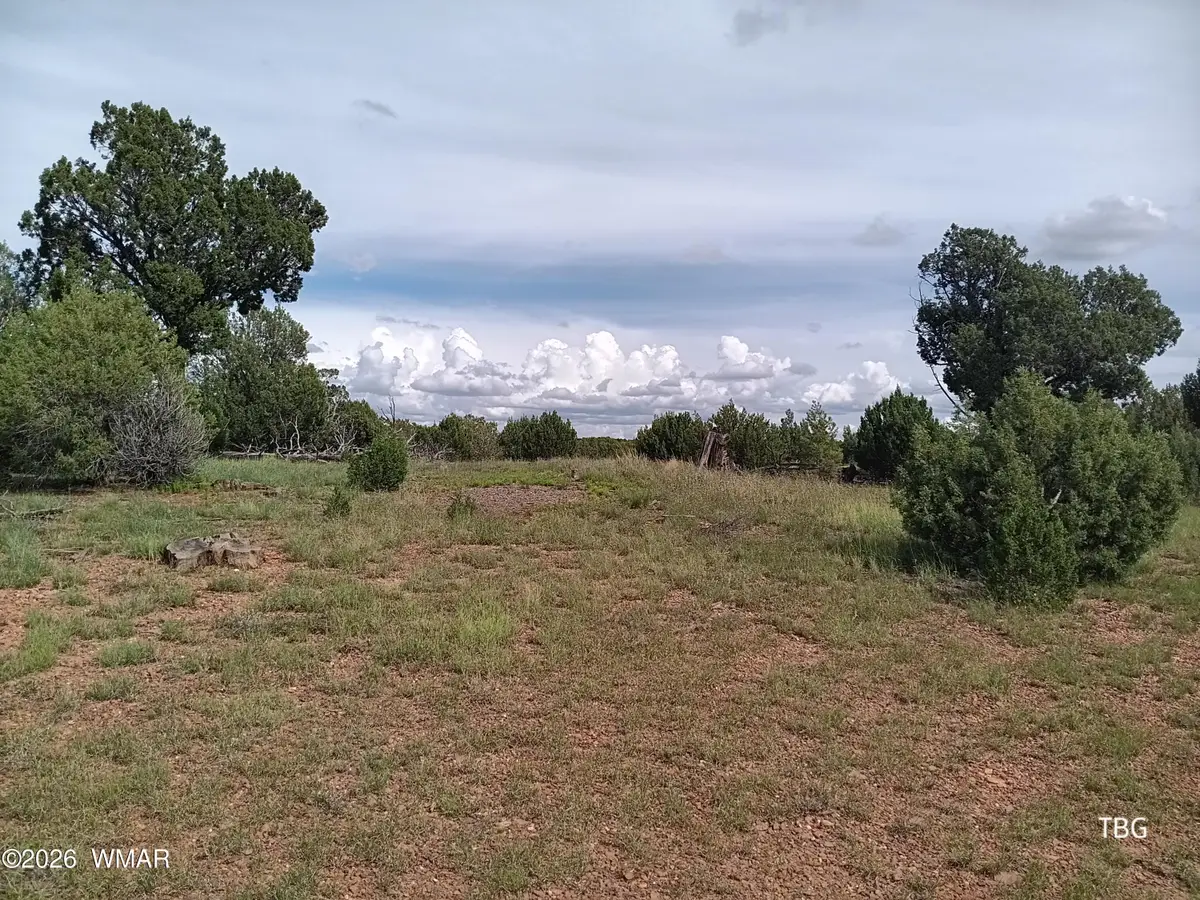 TBD Fruit Forest Lane, Clay Springs, AZ 85923 - #1