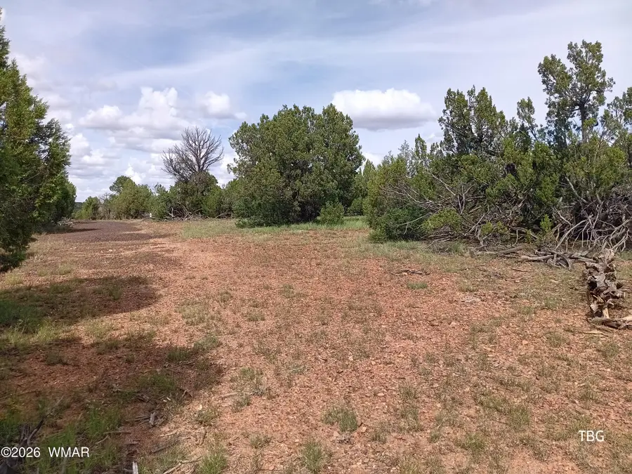 TBD Fruit Forest Lane, Clay Springs, AZ 85923 - #2