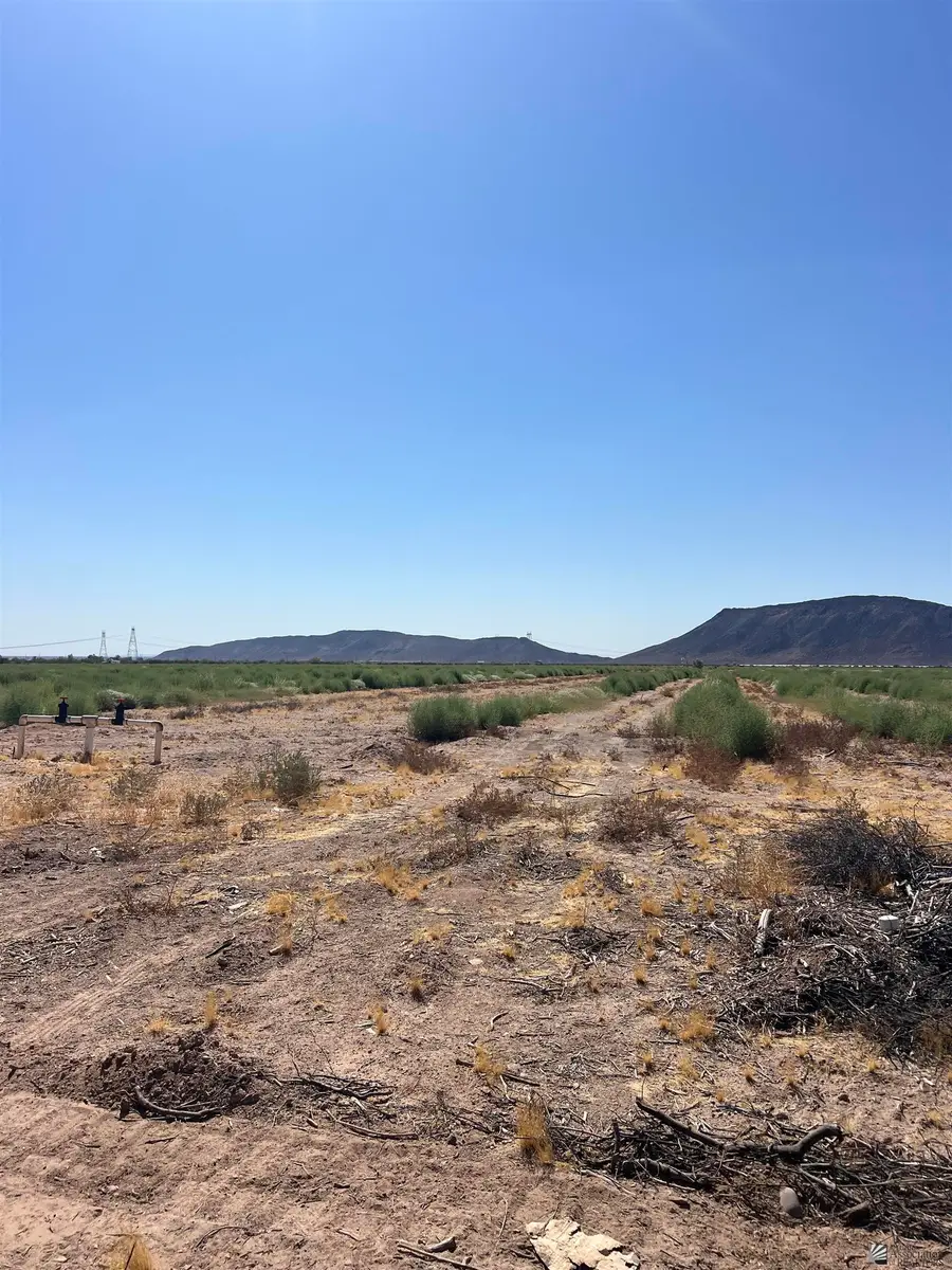 000 S DATELAND, Dateland, AZ 85333 - #2