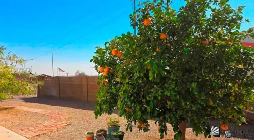 10326 S LINDA LN, Wellton, AZ 85356 - #3