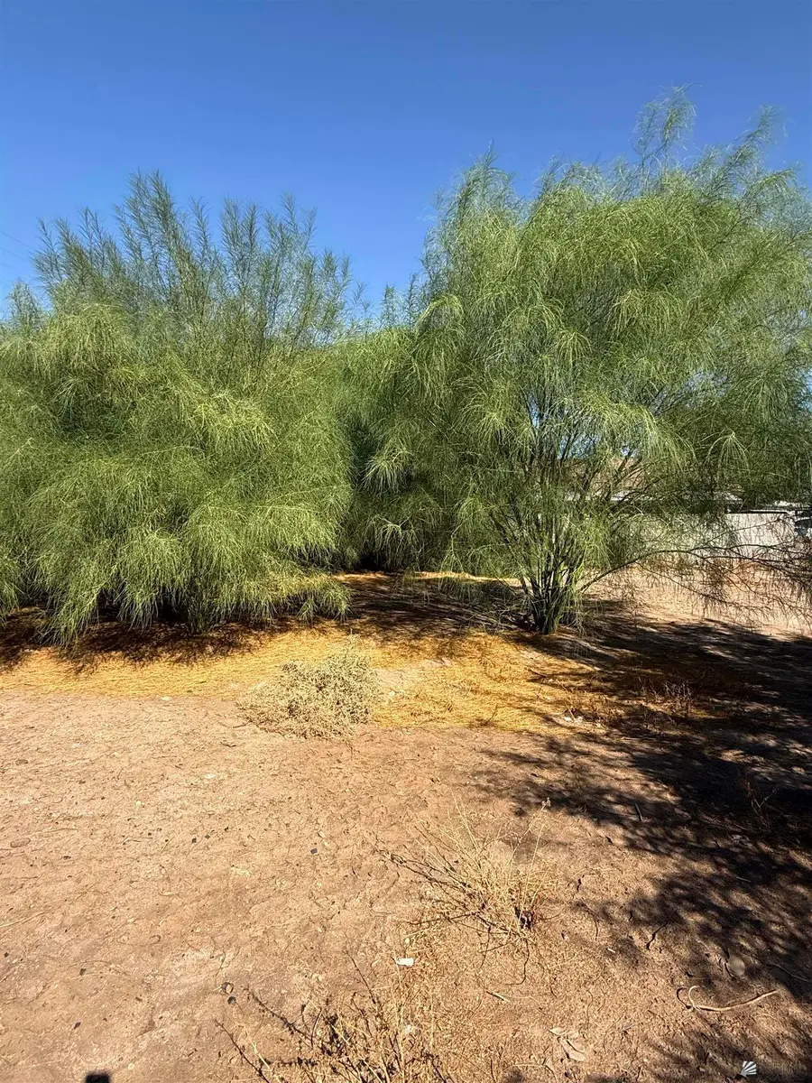 2250 E 14 Place, Yuma, AZ 85365 - #3