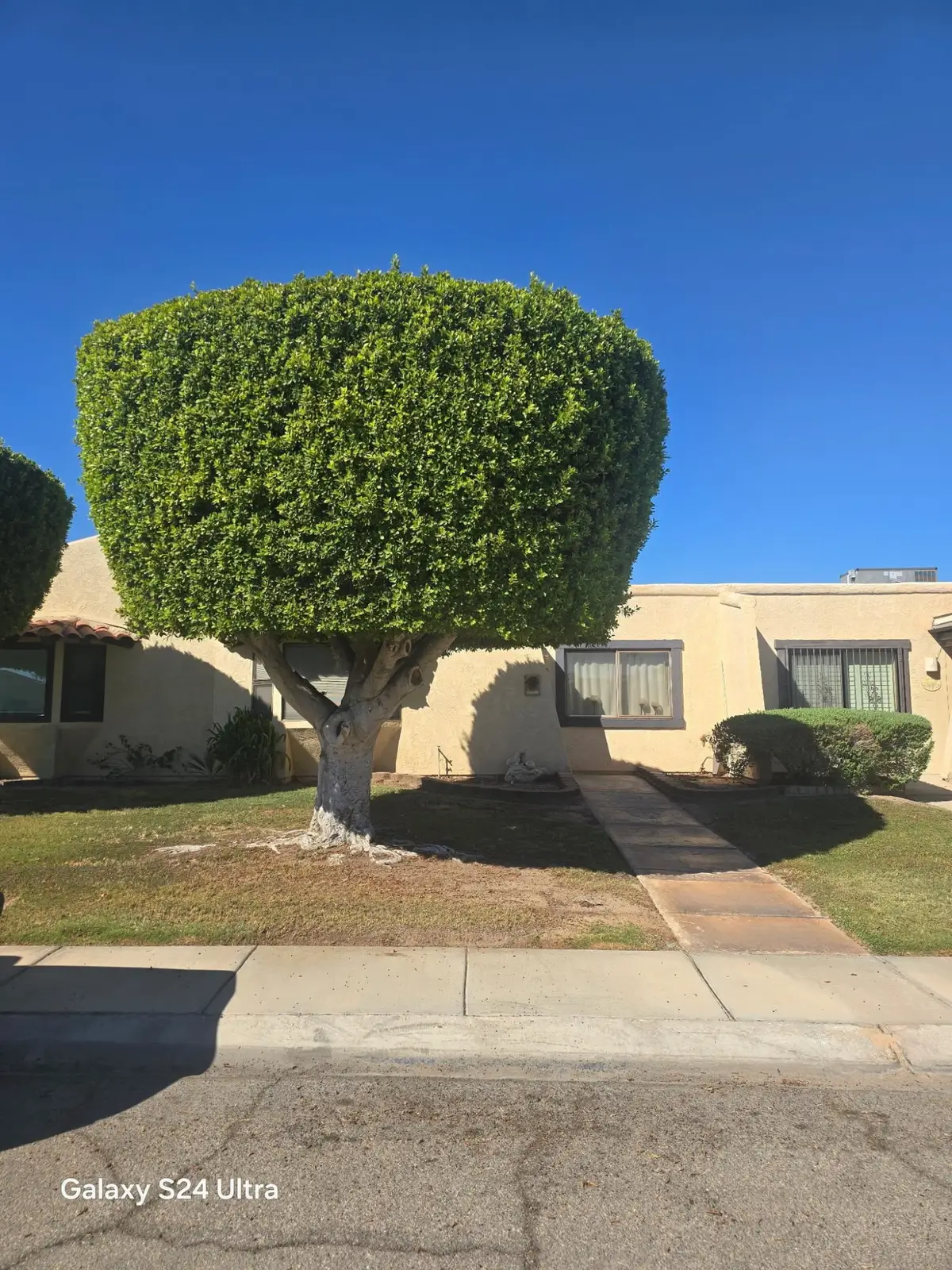 544 E 25 Place, Yuma, AZ 85365 - #1