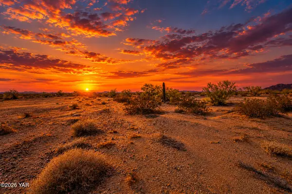 0000 49 E County 6th Street, Tacna, AZ 85352