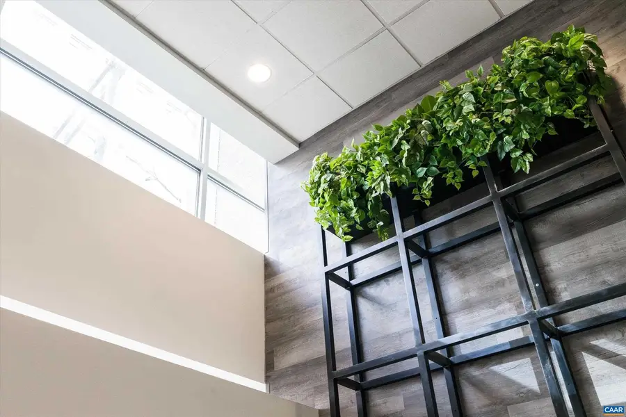 218 W Water St, Charlottesville, VA 22902 - Image #3