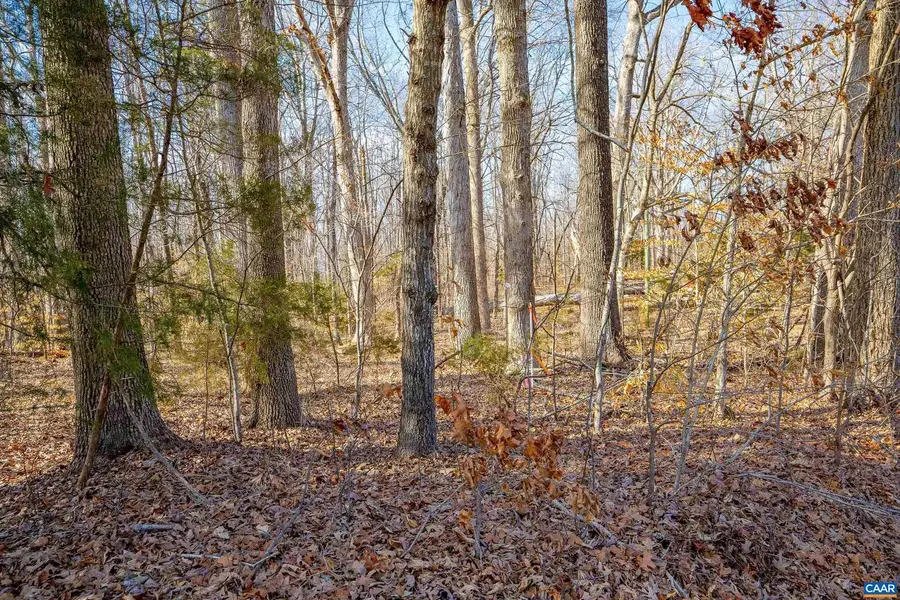 Tbd Redd Shop Rd, Farmville, VA 23901 - Image #2