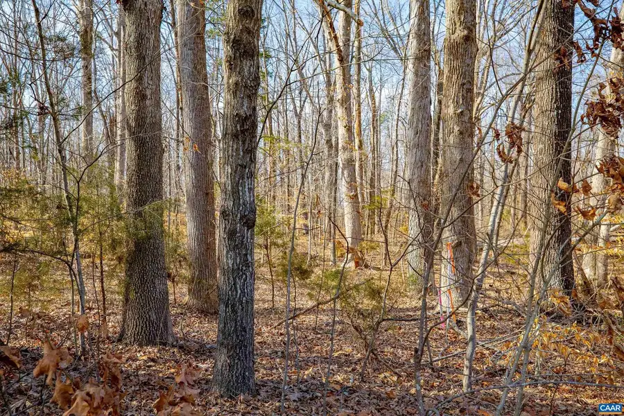 Tbd Redd Shop Rd, Farmville, VA 23901 - Image #3