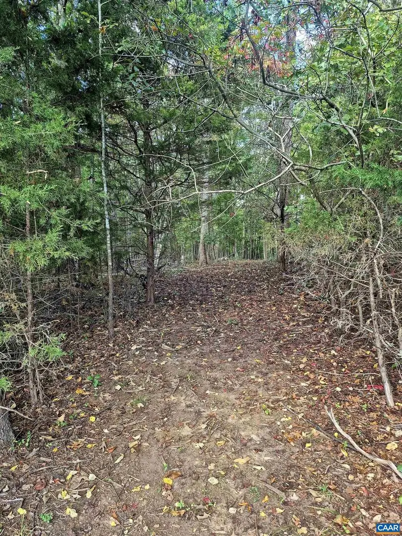 0 Antioch Rd #8b, Scottsville, VA 24590 - Image #3