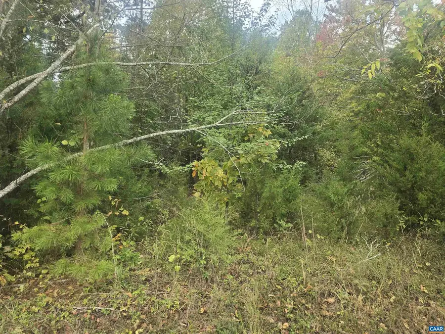 1337 Salem Church Rd, Palmyra, VA 22963 - Image #2