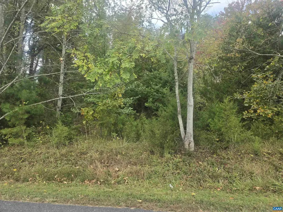 1337 Salem Church Rd, Palmyra, VA 22963 - Image #3