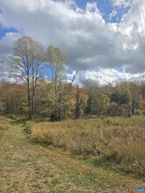 Lot C Sycamore Ln, RUCKERSVILLE, VA 22968