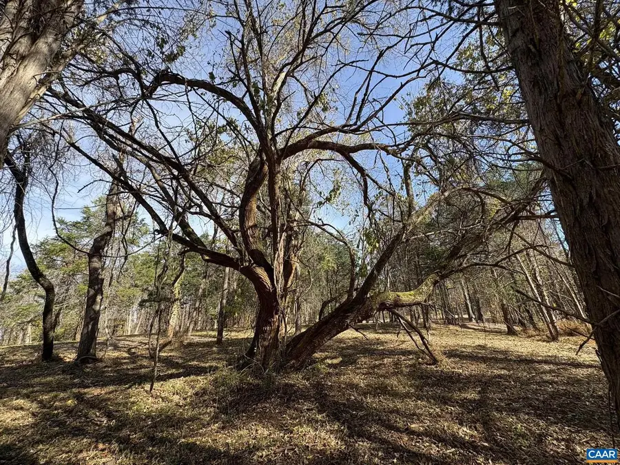 Parcel B Dulwich Dr #parcel B, Amherst, VA 24521 - Image #3