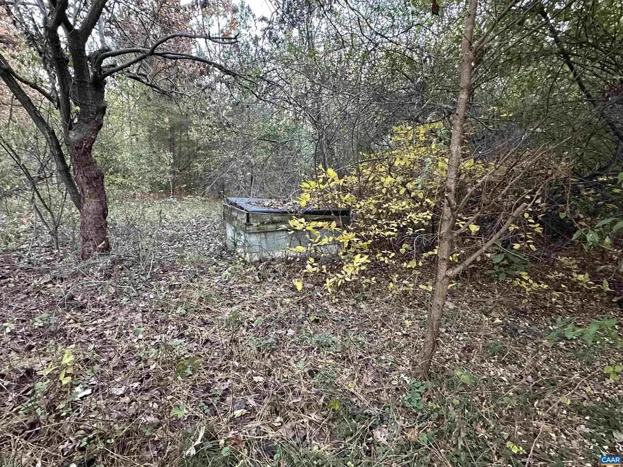 3481 Solitude Ln, Esmont, VA 22937 - Image #3