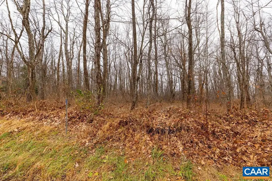 579 Laurel Springs Dr #pryor Camp Ii 25, Wintergreen Resort, VA 22967 - #2