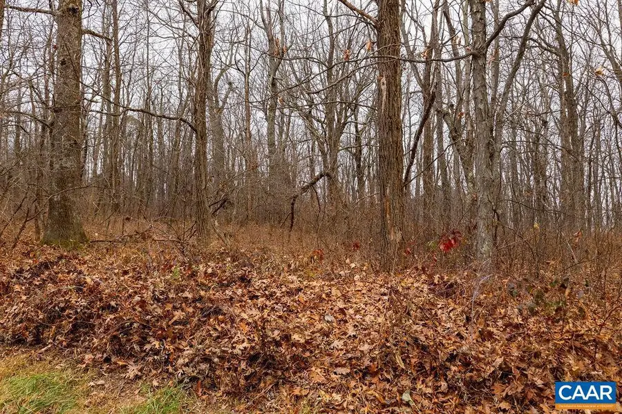 579 Laurel Springs Dr #pryor Camp Ii 25, Wintergreen Resort, VA 22967 - #3