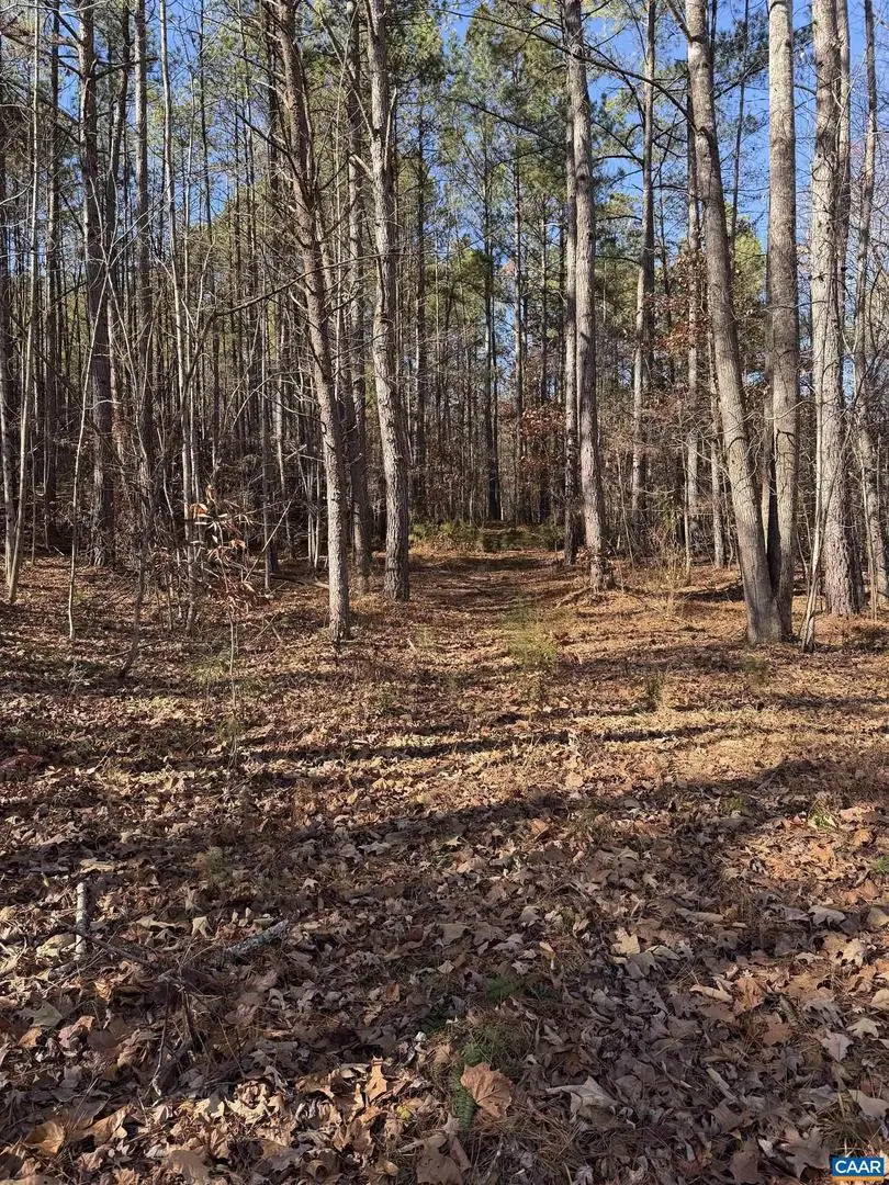 Tbd Union Hill Dr, Wingina, VA 24599 - Image #1