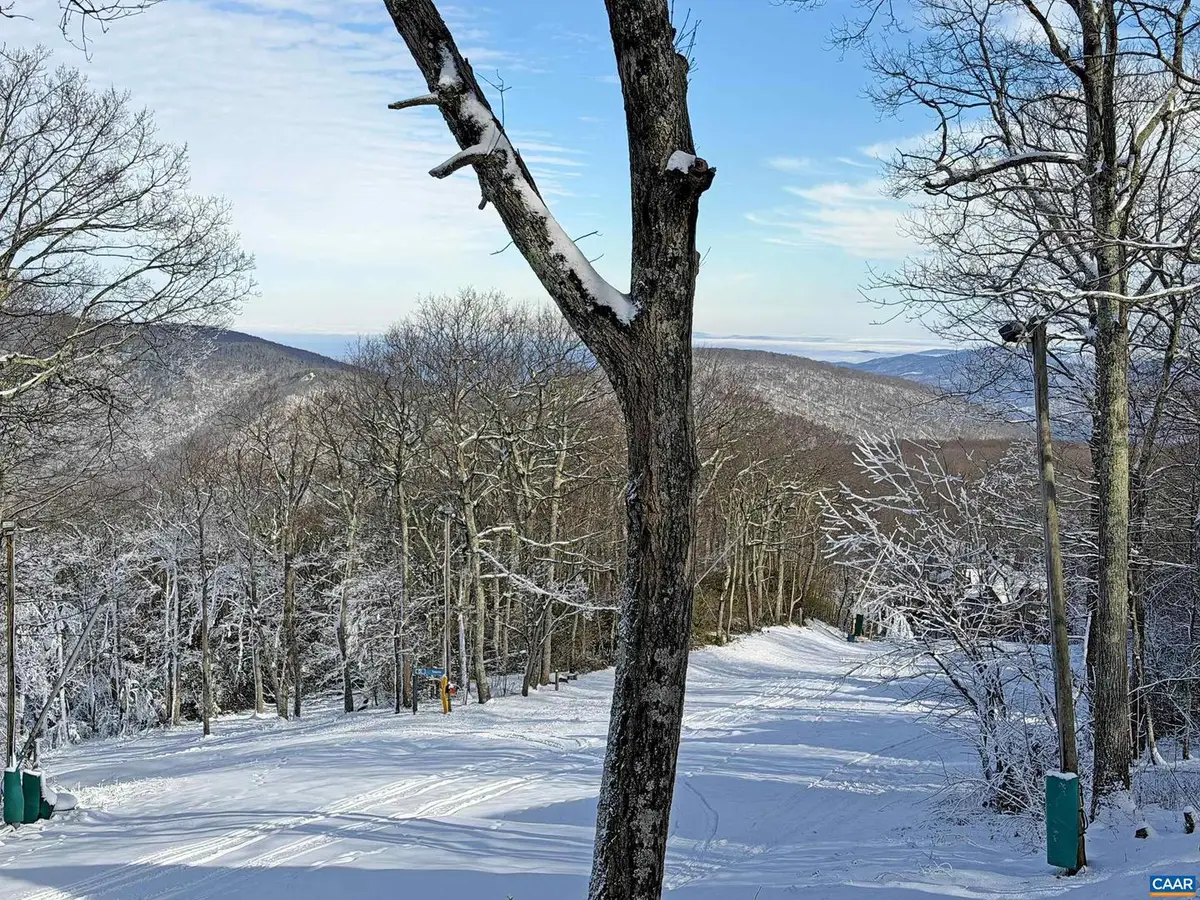 21 Tyro Ln, Wintergreen Resort, VA 22967 - #1