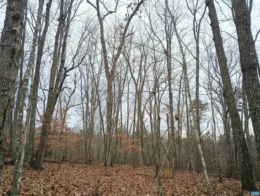 0 Axtell Rd, Scottsville, VA 24562 - Image #3