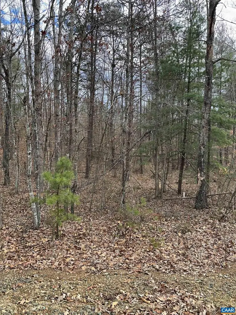 Lot 219 Pinehurst Dr, Louisa, VA 23093 - Image #2