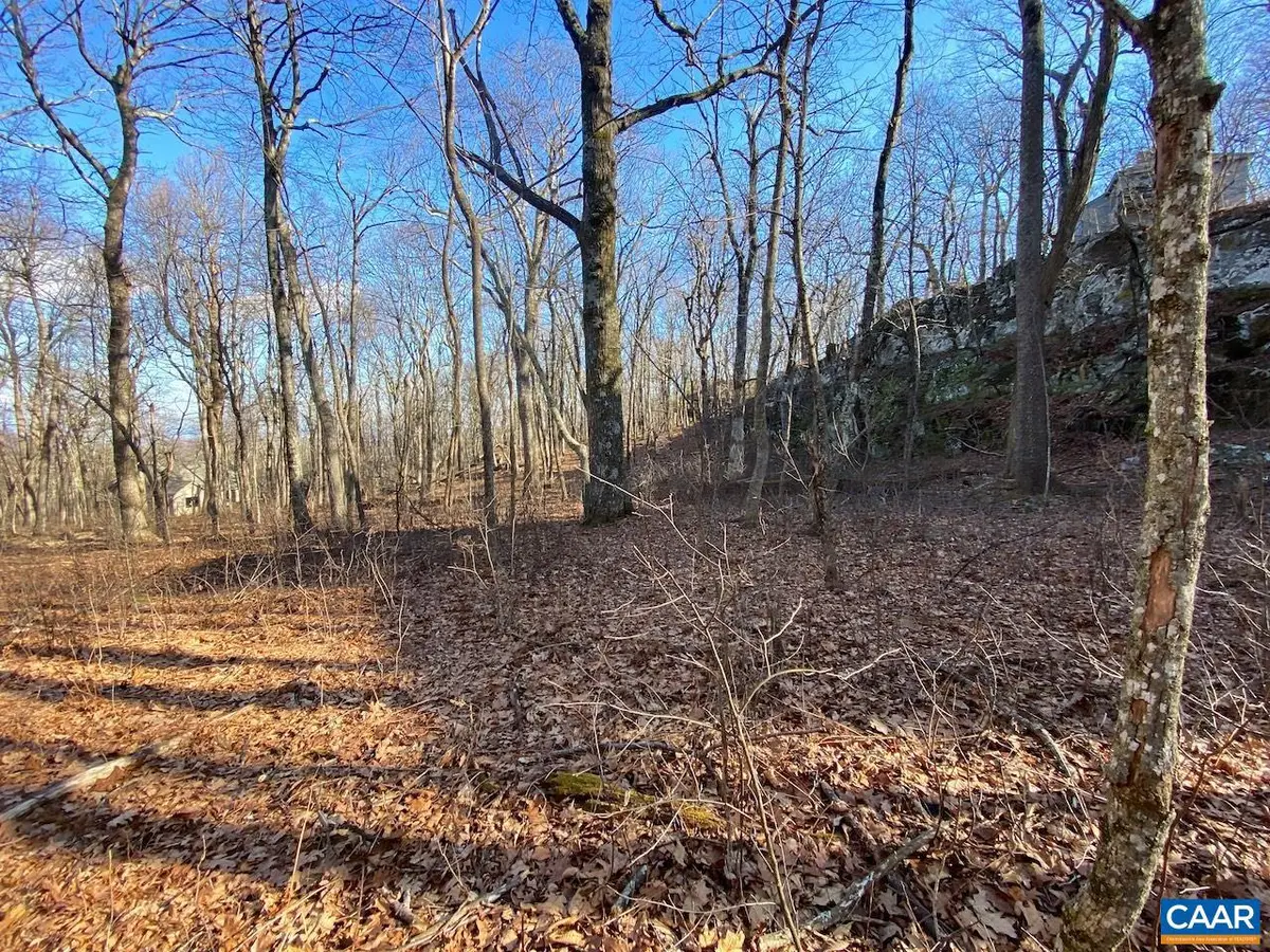462 Deer Springs Ln #101, Wintergreen Resort, VA 22967 - #1
