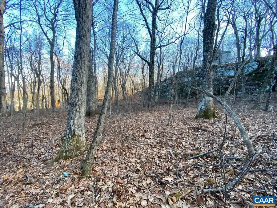 462 Deer Springs Ln #101, Wintergreen Resort, VA 22967 - #3