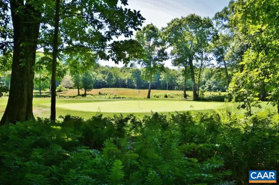 274 Laurel Springs Dr, Wintergreen, VA 22967 - #2